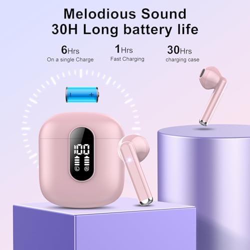 41PI1Q02uxL._AC_.jpg