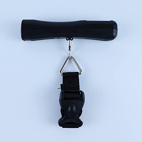31IcSrXCb9L.jpg
