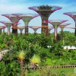 Singapore Video Travel Guide | Expedia Asia