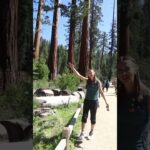 Top 5 Things To Do In Yosemite National Park | Travel Guide 2025